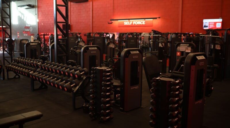 Selfit